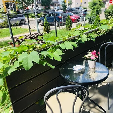 Апартаменты 3c Delux Брашов