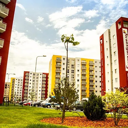 Apartament 3c Delux *