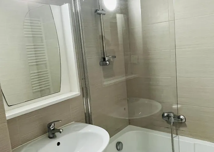 Apartment 3c Delux Brasov